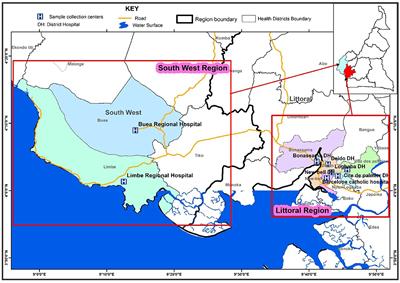 Comorbidity profiles among sputum-positive tuberculosis patients in Cameroon